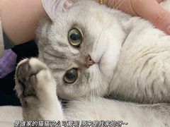 -守诺宠物医院·眼科· 特色牙科·异宠专科(虹口店)