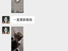 -瑞派名望志远动物医院·猫科·內科·异宠专科(直港大道店)