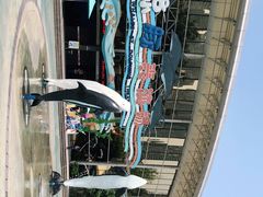 -海合安成都极地海洋公园