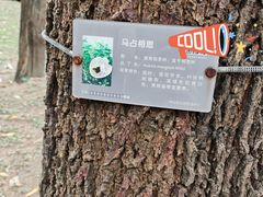-聚龙山公园