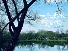 -西溪国家湿地公园