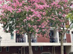 -福州大学(旗山校区)