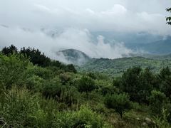 -妙峰山风景名胜区