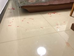 -美联众合动物医院·24h京西诊疗中心