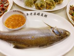 -长平老姿娘夜粥(平东一街店)
