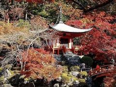 -醍醐寺