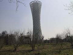 -上海滨江森林公园