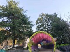 -石燕湖生态旅游景区