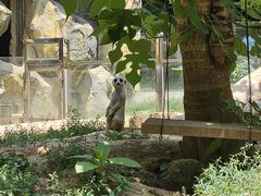 -红山森林动物园