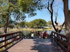 -新江湾城公园