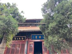 -洛阳白马寺