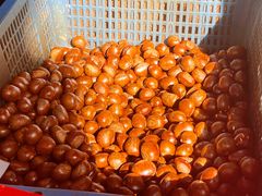 糖炒栗子-方林富炒货店(西溪路78号本人店)
