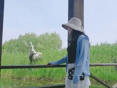 -溱湖国家湿地公园