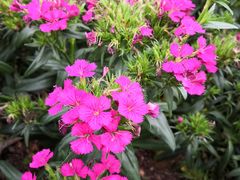 -广州粤海喜来登酒店