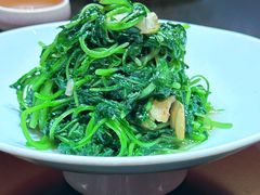-新光酒家·河豚·海鲜·蟹料理(浦东店)