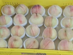 -老袁家蜜桃农场·阳山水蜜桃