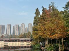 -重庆彩云湖湿地公园