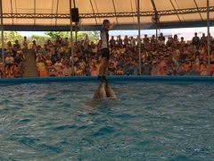 -尼莫海豚馆