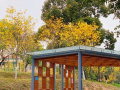 -天河儿童公园