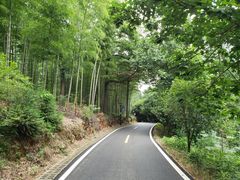 -潜山国家森林公园