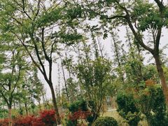 -上海长兴岛郊野公园