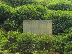 -十八棵（老龙井）御茶园(老龙井店)