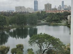 -四海公园(南山区)