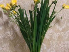 -泰合玺·精油疗愈 SPA(南京河西万达店)