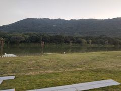 -艾米稻香小镇