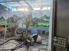 -秦皇岛野生动物园