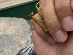 -苍山感通索道