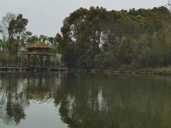 -溱湖国家湿地公园