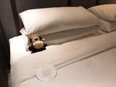 -新加坡瑞士史丹福酒店