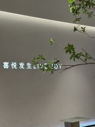 点击看大图 -IN STYLE•造型