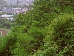 -八卦田遗址公园