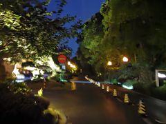 -杭州西子湖四季酒店-WL BISTRO西湖餐厅(灵隐路店)