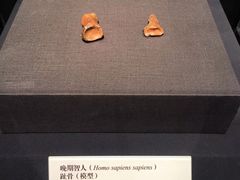 -北京周口店北京人遗址博物馆