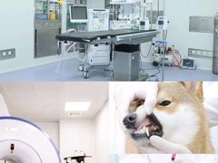 -美联众合动物医院·24h京西诊疗中心