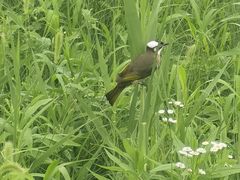-上海交通大学(闵行校区)