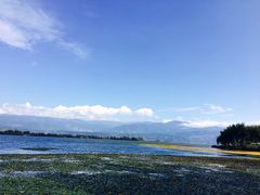 -西昌邛海湿地