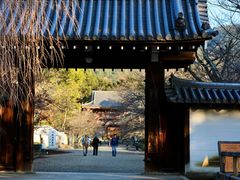 -醍醐寺