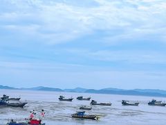 -北岐滩涂
