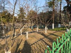 -月湖风景区