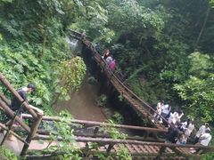 -青城山