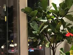 -奈雪的茶(中海环宇荟店)