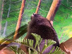 -正佳雨林生态植物园