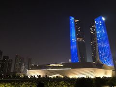 -南京眼步行桥