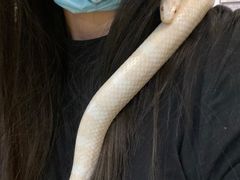 -藦茜花园宠物主题亲子互动体验馆(国顺东路店)