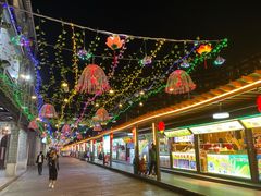 -无影脚佛山陈氏盲公丸始创店(飞鸿街店)