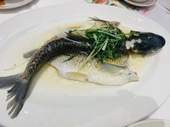 -稻香酒家·34年老字号·港式粤菜(侨光店)